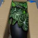 Large Fake Hanging Plants in Pot with Hook, 37" Artificial Hanging Pothos Long Vines Plants, Fake Potted Greenery Plant for Room Wall Living Room Bathroom Kitchen, Big Faux Ivy Houseplants for Shelf