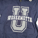 Funny WOSSAMOTTA University Academy College Game On Cheer T-Shirt (Blue, L)