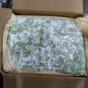 Istana 9x12 Area Rug - Light Green 9 x 12 Area Rugs for Living Room - Foldable 9x12 Rugs for Bedroom/Living Room Rug -Stain Resistant Washable Rugs - Eco-Friendly Area Rugs