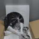 JHLBYL 3-Light Pendant Light Fixtures Modern Glass Kitchen Island Lighting with Hammered Glass Adjustable Hanging Dining Room Chandelier Light Fixtures Over Table