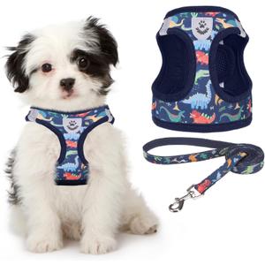 KOOLTAIL Dog Harness and Leash Set for Small Medium Dogs, Step in No Pull Soft Mesh Dog Harness Comfort Padded Pet Vest, Adjustable Reflective Easy Walking Puppy Cats Harness Training, Small (Pack of 1), Cartoon Dinosaur Blue