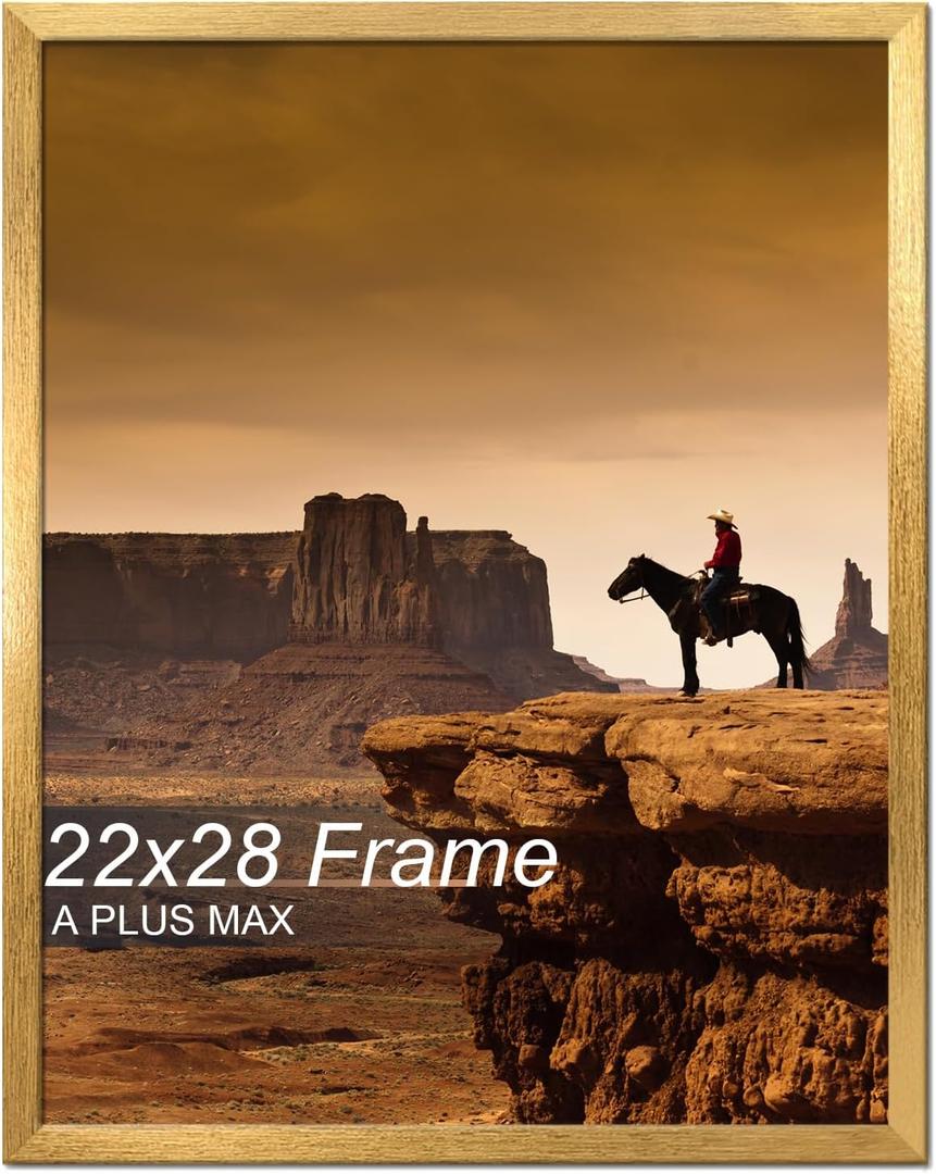 A PLUS MAX 22x28 Picture Frame Gold Light Weight Wall Mount