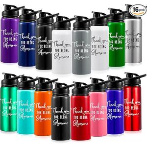 Pinkunn 16 Pcs Employee Appreciation Gifts for Christmas Thank You Water Bottle Gifts For Team Staff Coworker Lightweight Leakproof Thank You for Being Awesome Presents (17 Oz, Multicolor)