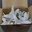 Hotop 36 Pcs Easter Lily Faux Flowers Realistic Artificial Lily Flowers for Wedding Home Party Easter Garden Shop Wedding Arrangement Office Decoration Bouquets (White)