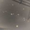 Kingsyard Squirrel Proof Suet Feeder, Cage Bird Feeders for Outdoors Hanging, All Metal, Double Suet Cake Capacity, Tray & Weatherproof, Black