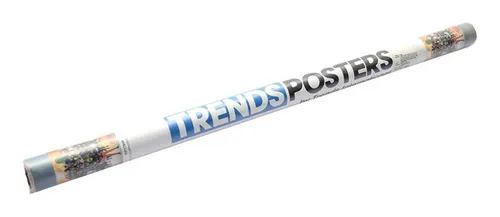 TrendsPosters 22.375" ×34" 4 pcs