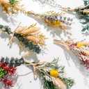 12 Kind Dried Flowers Set - Including Lavender, Eucalyptus, Wheat, Bunny Tails, Handmade for DIY Crafts, Vase Decor, Wedding/Home/Birthday/Seasonal Decor
