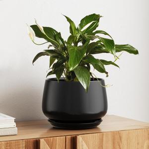 LE TAUCI Ceramic Planter, 10 Inch, Large Plant Pot, Indoor Plant Pot, Black