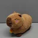 SuzziPals Heatable & Coolable Orange Capybara Stuffed Animal, Microwave Heating Pad for Period, Plushies for Pain Relief, Stuffed Capibara Plush Toys for Stress Relief, Capybara Gifts for Girls & Boy