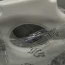 Drive Medical 2-in-1 Raised Toilet Seat with Removable Padded Arms