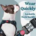 rabbitgoo Dog Harness for Large, No Pull Pet Harness with 3 Buckles, Adjustable Soft Padded Vest with Control Handle, Walking Reflective Pet Vest for Large Dogs, Blue Coral, L
