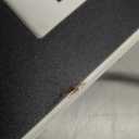 YSOLX 200W Car Power Inverter 12V to 110V for Vehicles, Car Plug Adapter Outlet with 4 USB Fast Charger, Car Charger Cigarette Lighter Adapter for Phone, Laptop on Road Trip (white)