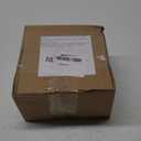 Golden Elephant Statue 5.5 Lucky Feng Shui, Thai Elephant With Trunk Upwards Collectible Figurine Sculpture Decoration, Wealth Lucky Home Office Decor Gift