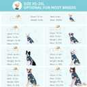 Recovery Suit for Dogs, Dog Surgery Recovery Suit with Zipper Closure Post Spay, Neuter, Abdominal Surgical Suit for Male Female Dogs Can Pee, Prevent Licking Dog Onesies (Blue Bear, Large+)