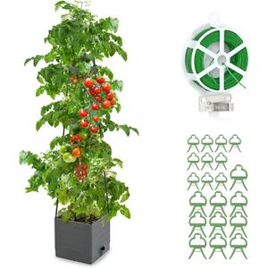 Raised Garden Bed, Planter Boxes with Trellis 58.3'' Tomato Planters for Climbing Vine Vegetables Flowers Plants Self Watering Tomatoes Cage for Outdoor Patio Greenhouse