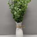 Artificial Eucalyptus Stems with White Vase,19 Inch Small Fake Plants Indoor,Faux Greenery Plant for Farmhouse Home Decor,Bathroom Living Room Kitchen Office Shelf Coffee Table Centerpiece