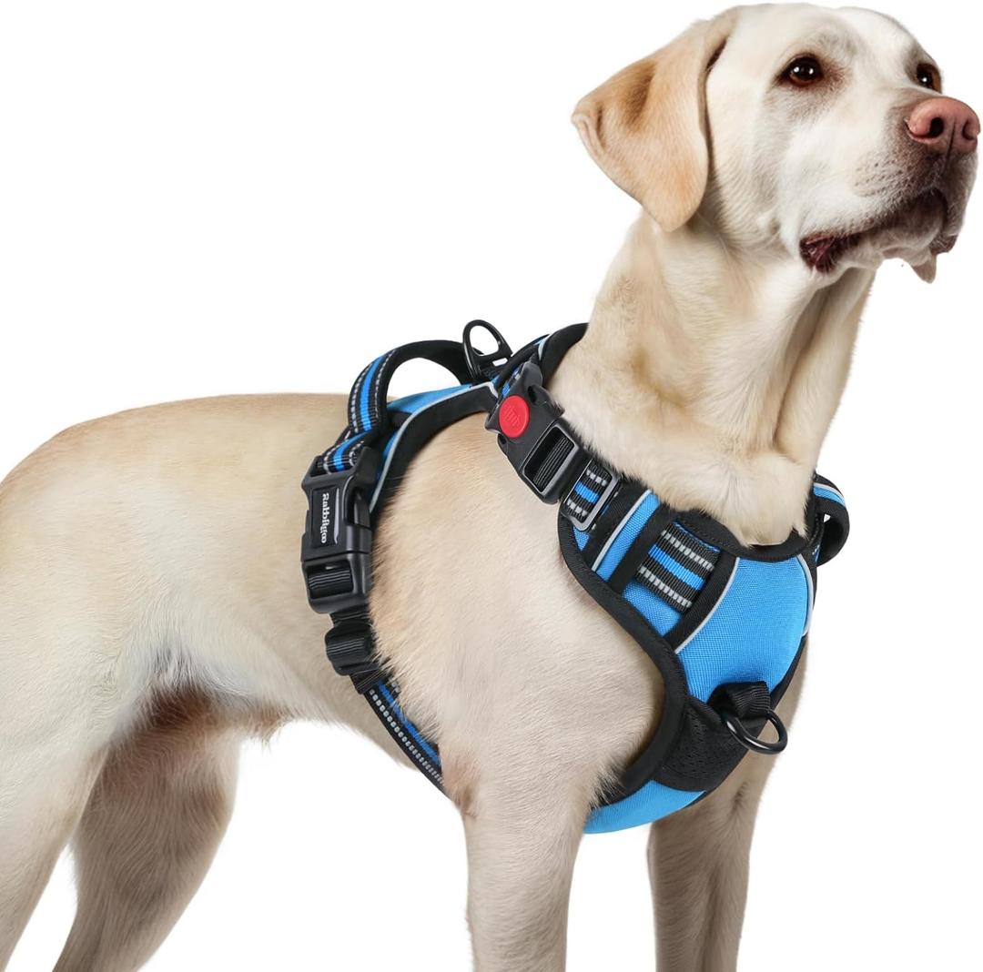 rabbitgoo Dog Harness for Large, No Pull Pet Harness with 3 Buckles, Adjustable Soft Padded Pooch Vest with Instant Control Handle, Easy Walking Reflective Pet Vest for Large Dogs, Sky Blue, Large