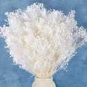7000+ Ivory White Dried Baby's Breath Flowers Bulk - 17 inches 100% mini Natural Dried Flowers, Suitable for Wedding Decoration, Home Decoration, DIY Crafts, Wreath Flowers, DIY fillers