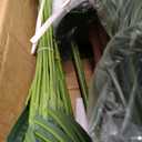 Artificial Palm Tree 6FT, Suntee Faux Plants Indoor and Outdoor 2 Pack, Tall Fake Tree Tropical Areca Floor Plant in Pot for Home Decor Living Room Office Patio Garden
