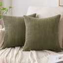 EMEMA Pack of 2 Corduroy Soft Soild Decorative Square Throw Pillow Covers Cushion Cases Spring Pillowcases for Couch Sofa Bedroom Car 12x12 Inch Olive Green