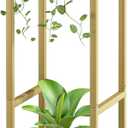 Plant Stand Indoor Corner Tall 2 Tier Metal Modern Flower Storage Plant Shelf Holder for Living Room Balcony Garden,Gold (2 Tier-Gold)