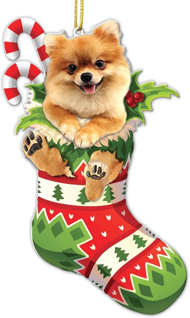 4 x Pomeranian Dog Christmas Ornament  Flat Acrylic Cute Stocking Stuffer with Candy Cane for Holiday Dcor - 2025 Pomeranian Dog Christmas Tree Hanging Ornament