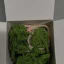 Crochet Hanging Plant for Car,Car Decorations Interior,Plant Aesthetic Car Accessories for Women Interior Cute,Car Ornaments Charms for Rear View Mirror,Boho Car Decoration Gifts (Olive Cutout Leaves)