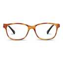 Peepers By PeeperSpecs Womens Nature Walk-Amber Tortoise/Black +2.50 Soft Square Reading Glasses | 2.5