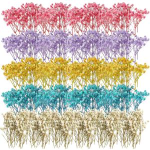 Fumete 100 Pcs Mini Dried Baby Breath Flowers Gypsophila Ivory Mixed Color Dried Flowers for Vase Wedding Home Office Party Garden Card Making Decoration Wreath Floral Craft DIY Art