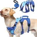 PUPTECK Escape Proof Dog Harness and Leash Set Upgraded No Pull Reflective Dog Vest with Lift Handle, Easy Control Pet Harness, Blue, M