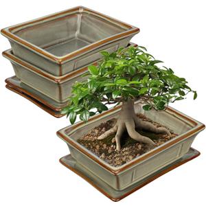 Ceramic Bonsai Pots with Drainage Tray, Set of 2 Rectangular Glazed Bonsai Planters for Indoor/Outdoor Use, Shallow Brown Bonzai Tree Pots for Succulent, Orchids, Cacti, Home, Patio, Garden, 7.5"x5.5"