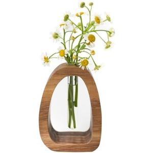 Solid Wood Frame Glass Test Tube Vase Desk Hydroponic Plant, Enhances Home and Office Environment, Small Size (Small)