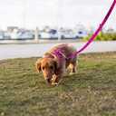 EcoBark Dog Leash - Soft & Reflective Comfort Training Leashes with Padded Handle - Strong Durable Heavy Duty - Training and Pulling for Small, Medium or Large Dogs (Pink)