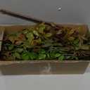 Melorca&Guilla Artificial Plants,2PCS 43.3" Green Nandina Faux Branches for Vase,Artificial Plants for Shop Garden Office Home Décor