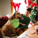 2 x Christmas Dog Bandanas, Green Classic Christmas Scarf for Medium Large Dogs, Double Sided 2-Pack