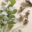 RAZ Imports Wintry Resin Chickadee Bird Ornaments - Set of 4