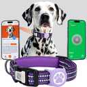 AirTag Dog Collar for Medium Dogs, IP68 Waterproof Air Tag Dog Collar with Apple AirTag Holder, Reflective, Padded Lining, QR Code Personalized Dog Tags (Purple, Medium) (M13"-22")