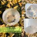 Large Clear Nursery pots for Plants with Saucers,10 pcs 9.5/8.3/7/6/5 inch Thick Plastic Nursery pots for Plants with Drainage Holes for Monstera,Aroid