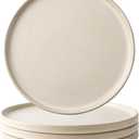 AmorArc Ceramic Dinner Salad Plates Set of 4, 8.0 Inch Reactive Matte Glaze Dish Set, Dessert,Salad, Appetizer, Small Dinner Plate,Microwave, Dishwasher Safe, Scratch Resistant, Ivory