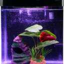 Betta Fish Tank Self Cleaning Glass 2 Gallon Small Nano Aquarium Starter Kits Desktop Room Decor w/LED Light Decorations & Whisper Filters Water Pump (Fish Tank)