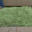 GERBIT Shag Area Rug 6x9 Feet Soft Indoor Rectangular Rugs Carpet Modern Luxury Plush Rugs for Living Room Home Decor Grass Green