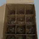 E12 60 Watt Incandescent Candle Light Bulbs, Chandelier Light Bulbs for Ceiling Fan, Vanity, Outdoor - Warm White 2500K, 500 Lumen Dimmable B10 Clear Candelabra Base Bulbs (12 Pack)