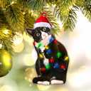 2 x Tuxedo Cat Christmas Acrylic Ornament  Black and White Cat Ornament, Customizable with Name - Easily Add Name with Marker (Marker Not Included)