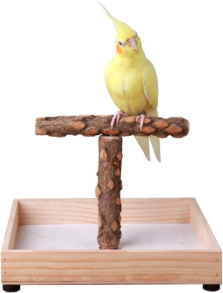 Bird Stand Tabletop,Portable Tee Stand, Parrot Play Stand Perch Gym for Small Medium Parrot (T Stand)