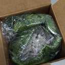 KASZOO 84Ft 12 Pack Artificial Ivy Garland Fake Plants, Vine Hanging Garland with CE Certified 80 LED String Light, Hanging for Home Bedroom Garden Party Wedding Wall Room Decor, Green