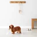 Amazon Basics Carbon Odor-Control Dog and Puppy Pee Pads, 5-Layer Leak-Proof Super Absorbent, Quick-Dry Surface, Potty Training, Regular (22x22"), 120 Count, Gray