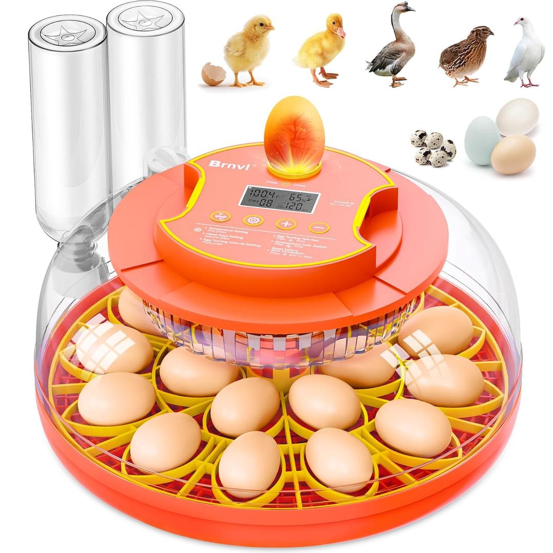 18 Egg Incubator with Automatic Egg Turning, Digital Temperature Humidity Control, Incubator for Hatching Eggs, 360 View Candler, Chicken, Quail, Duck, Goose, Turkey for Home & Farm