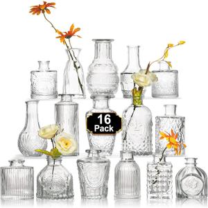 Arme 16Pcs Glass Bud Vase SetSmall Flower Vase for CenterpiecesClear Bud Vases in Bulk Mini Vintage Vase for Rustic Wedding Decorations