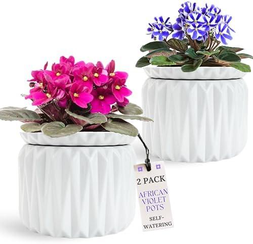Thriving Thicket 2 Pack of 6 Inch African Violet Pots Self Watering, Ceramic Planter with Water Reservoir and Fill Lines, 4 Inch Opening, Indoor Flower Pot, Holds 3 Weeks of Water (2 Pack White)