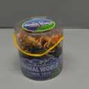 Yeonha Toys 60 Piece Mini Zoo Animal Toy with Gift Box, Realistic Small Plastic Animal Figure Sensory Bins, Jungle Party Favors, Cupcake Topper, School Education, Birthday Gifts for Kids Toddlers